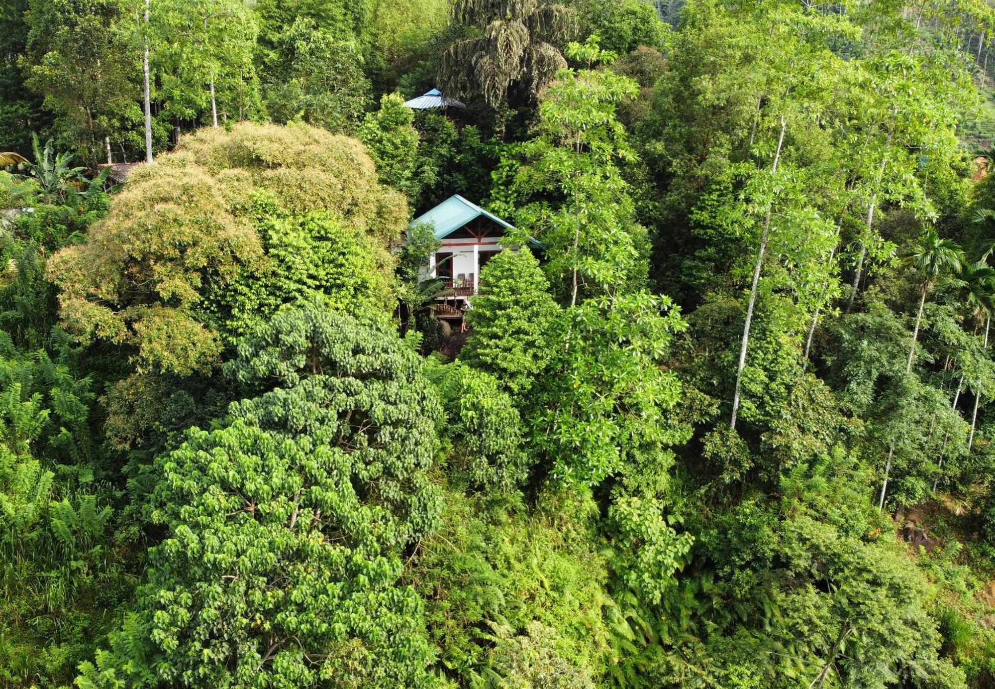 Hotel Sinharaja Rest Deniyaya Exterior foto